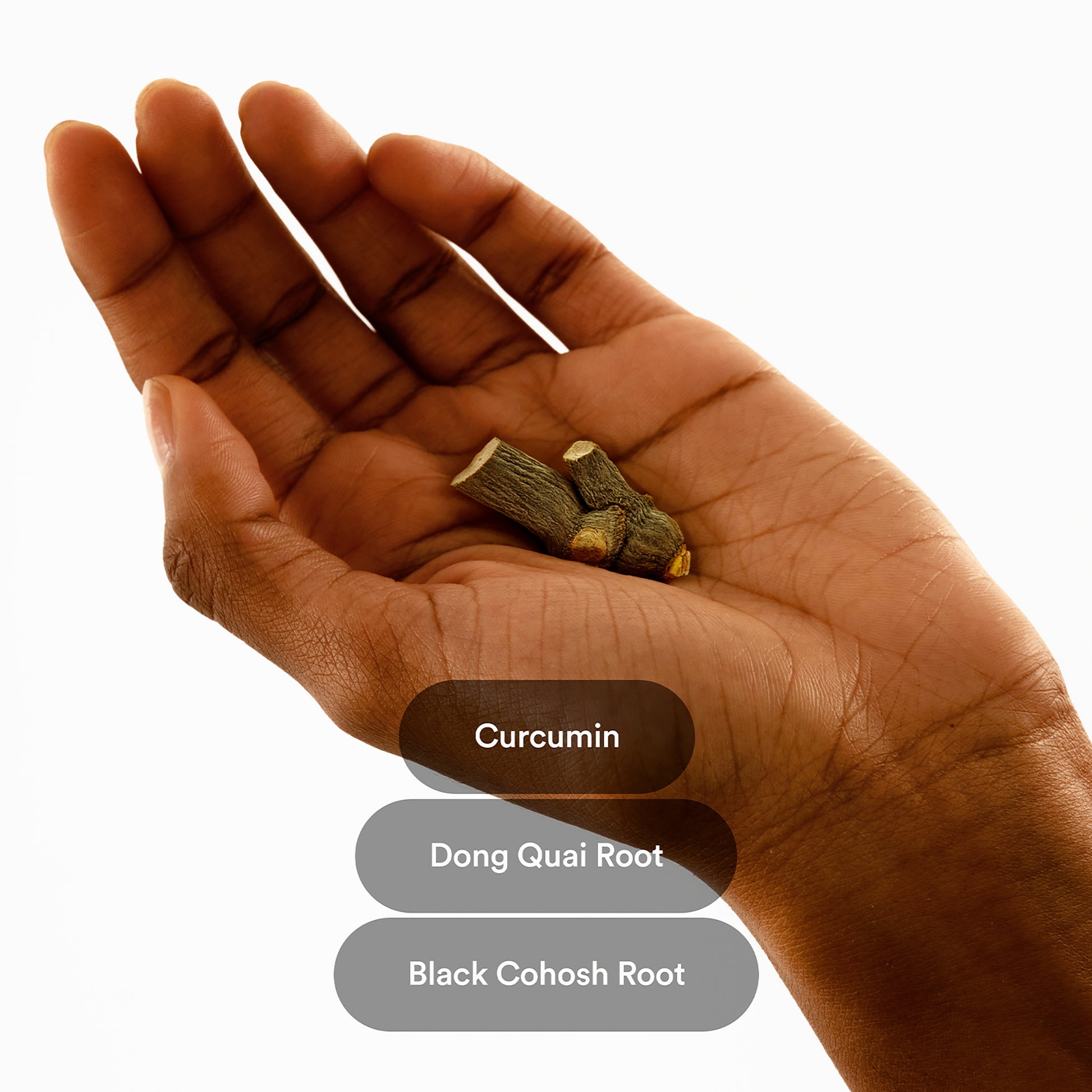 Hand holding Curcumin Extract