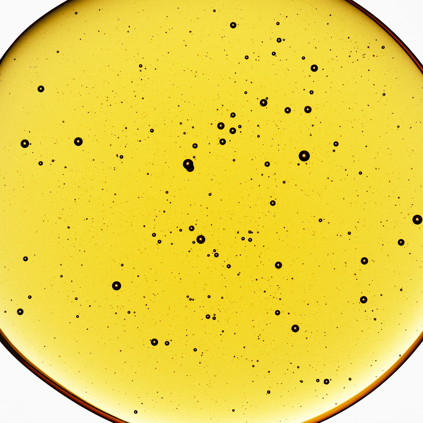 Period Relief with Menthol and Ginger Extract - Menstrual Relief with Natural Essential Oils - 14 Count