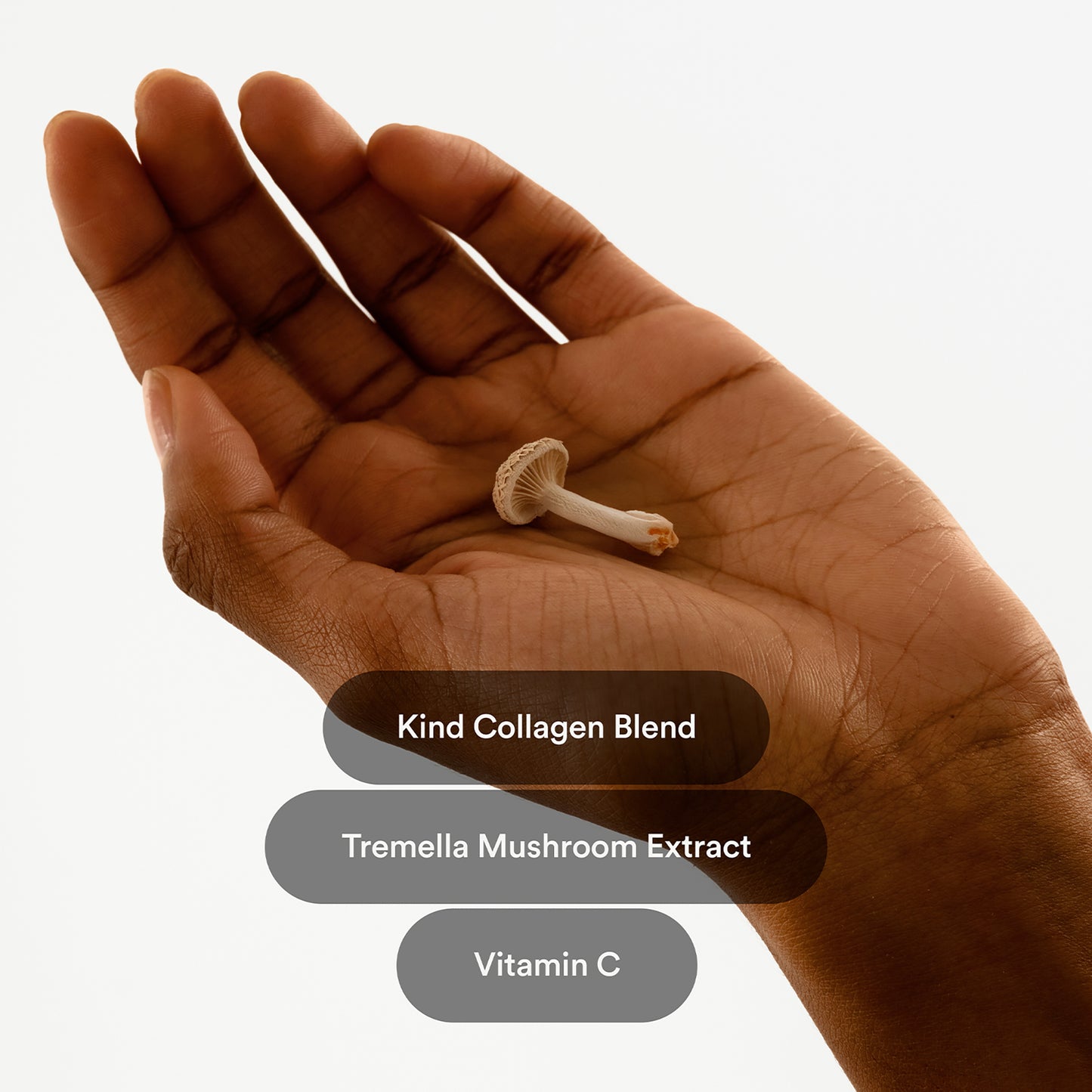 Tremella Mushroom Extract - Skin Firming with Vitamin C, Amino Acids - Nature's Hyaluronic Acid for Hydration, Healthier Hair and Nails - 30 Count